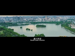 गोल्डस्टोन प्रोफ़ाइल